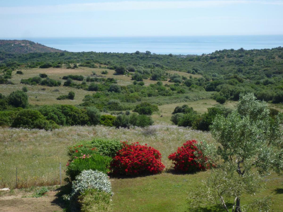Fattoria Di Anja E Marco Villa Costa Rei Ngoại thất bức ảnh